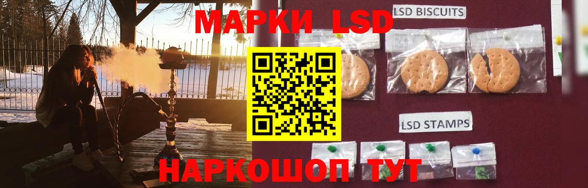 LSD-25 экстази кислота  ЛСД экстази  Щёлково  Вход с VPN  Лсд 25 экстази кислота 