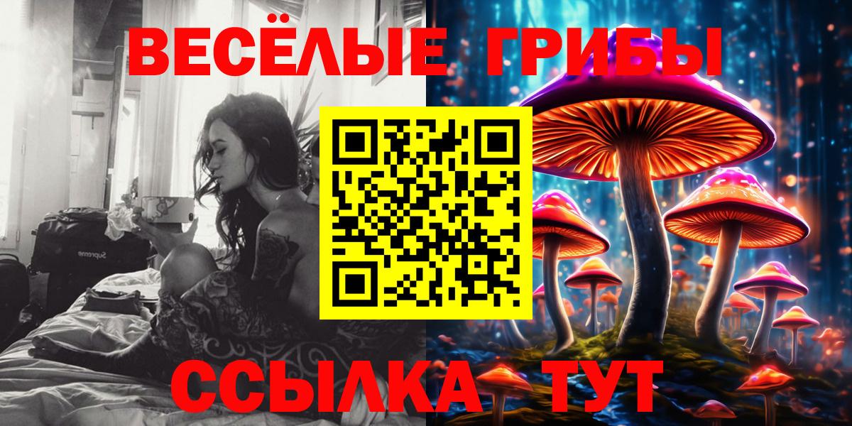 Галлюциногенные грибы Magic Shrooms Щёлково