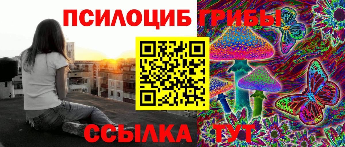 Псилоцибиновые грибы прущие грибы  Псилоцибиновые грибы Psilocybe  Щёлково  Вход с VPN 